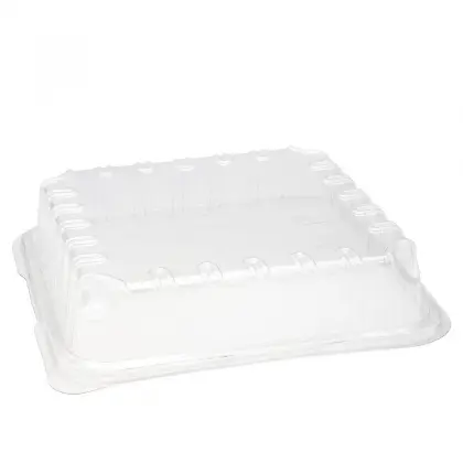 Καπάκι PET 17x17x4cm Για Σκεύος ΕΥ014110 & ΕΥ014111 Συσκευασία 5 Τεμαχίων