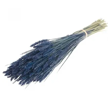 Στάχυ Φυσικό Dark Blue Μήκος 65cm