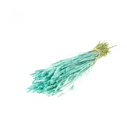 Στάχυ Φυσικό Μήκος 65cm