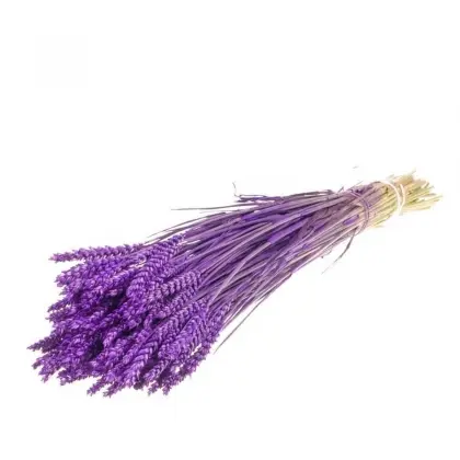 Στάχυ Φυσικό Μήκος 65cm